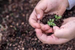 Gardening For Well-being why gardening is good for your health 