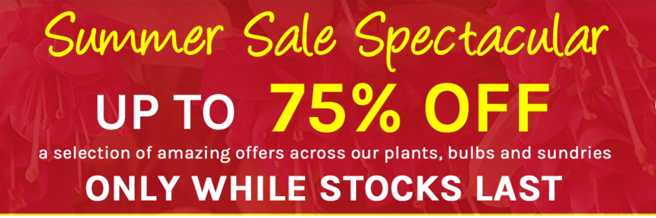 Summer plant sale poster