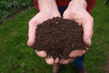 How to make compost for the garden, shows a handful of compost