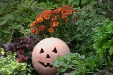 What jobs to do in the garden in October