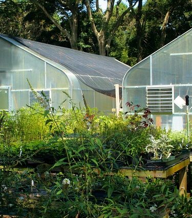 Best Small a greenhouse heaters. Two greenhouses with winter protection