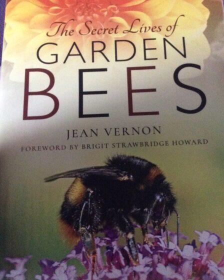 The Secret Lives Of Garden Bees Book front cover.