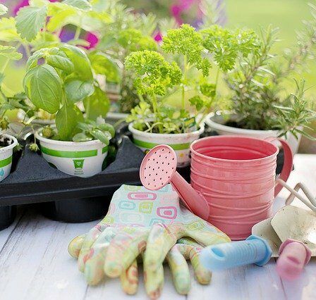 Best Garden Hand Tools For Beginners Watering can, gloves and garden hand tools. Essential garden tools for beginners.