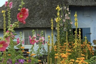 10Steps To A Perfect English Cottage Garden Design
