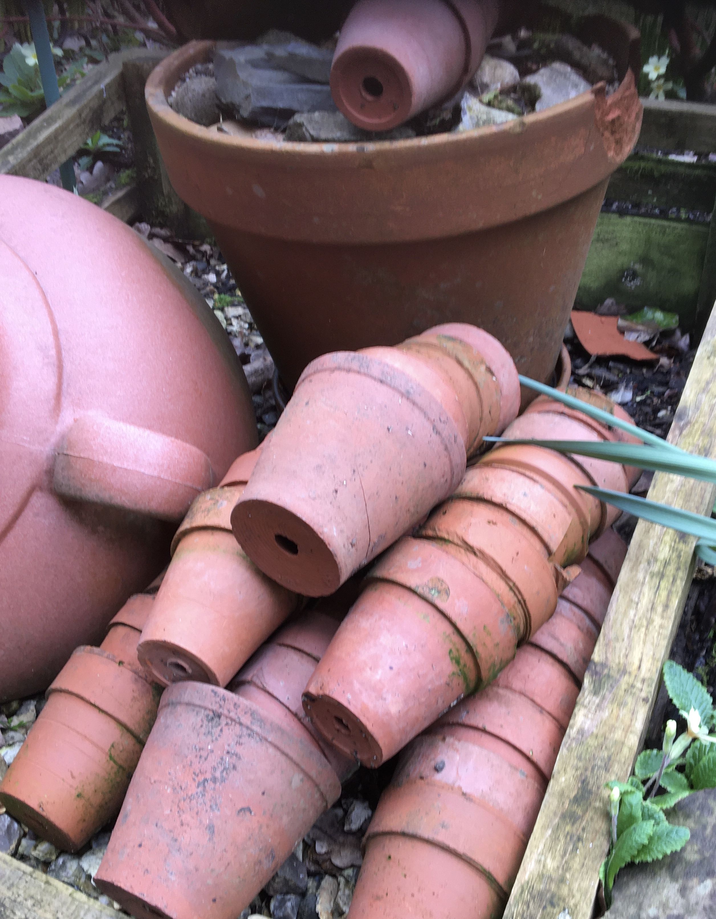 English Cottage Garden Design Ideas Terracotta pots