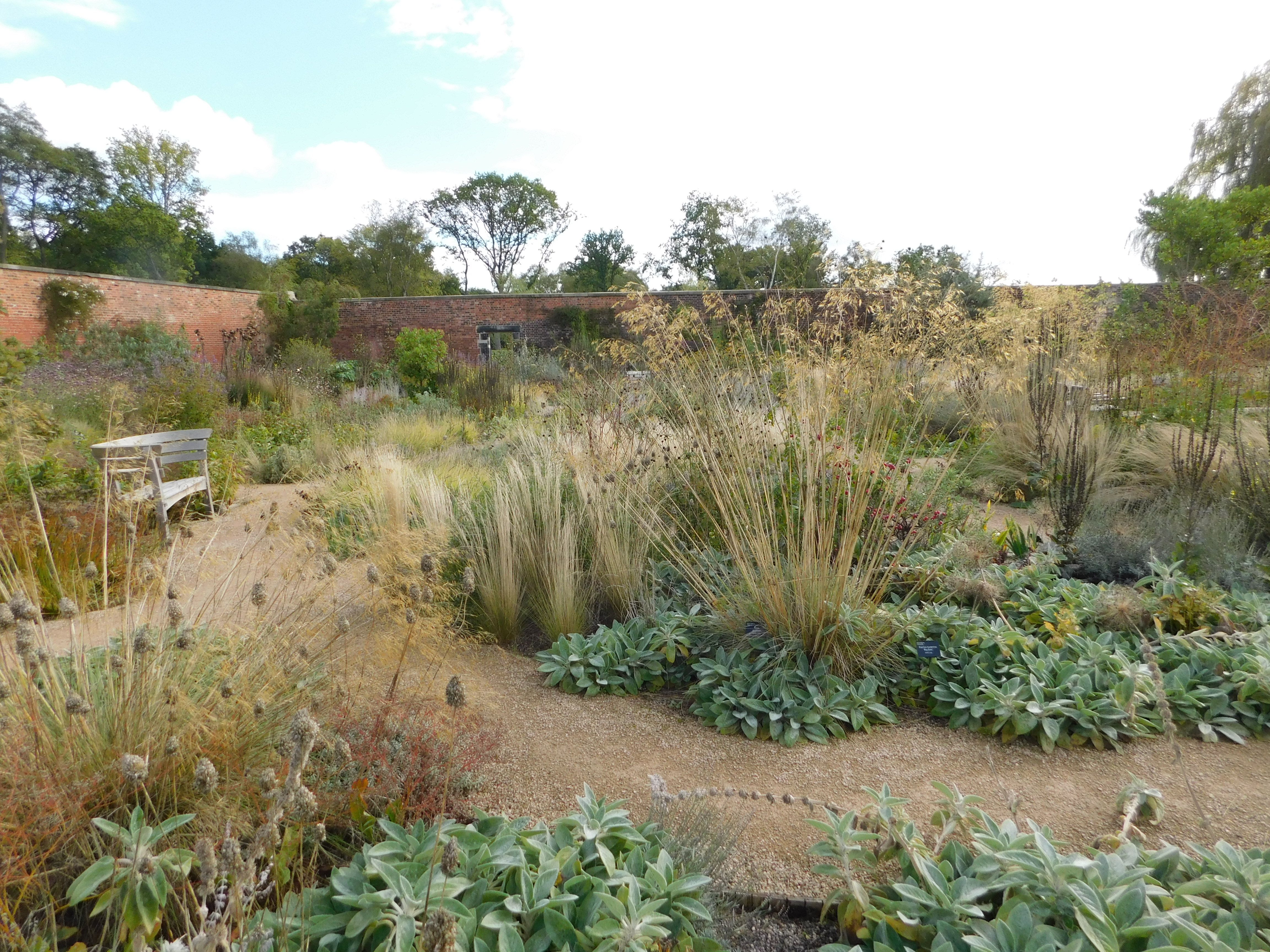 Visit RHS Bridgewater Gardens. Welcome Garden