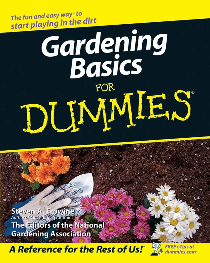 What Shrubs Like Full Sun And Heat - Gardening Basics For Dummies